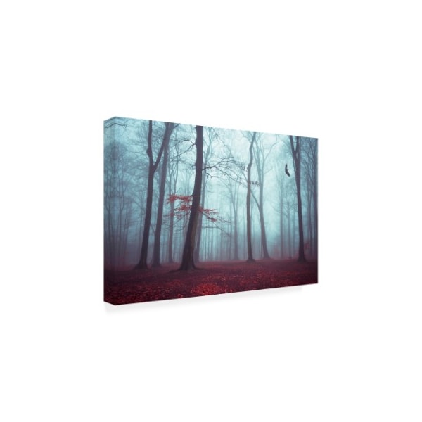 Dirk Wastenhagen 'Solstice In Fog' Canvas Art,12x19
